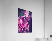 If You Ever Acrylic Print