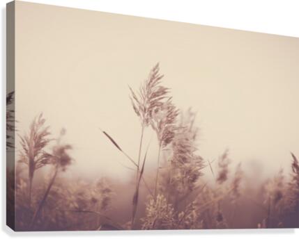 Faded Moments Canvas Print