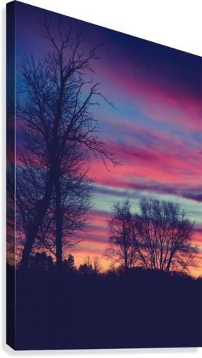 If I Told You Canvas Print