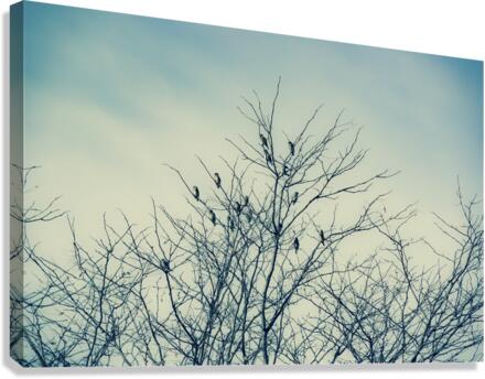Unexpected Company  Canvas Print