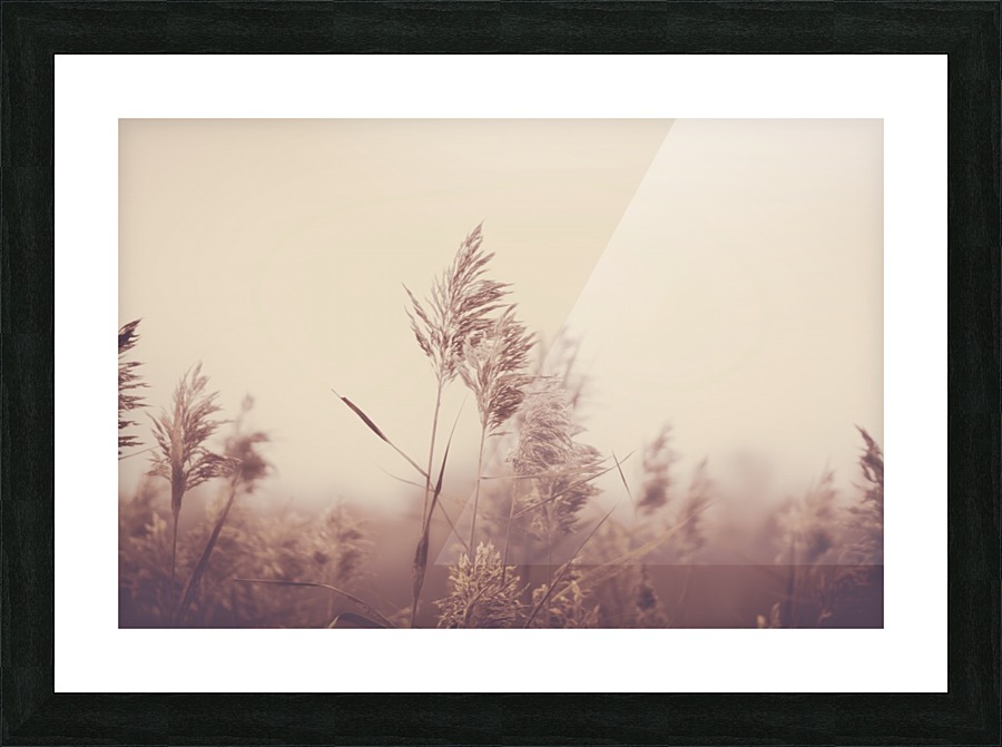 Faded Moments Picture Frame print