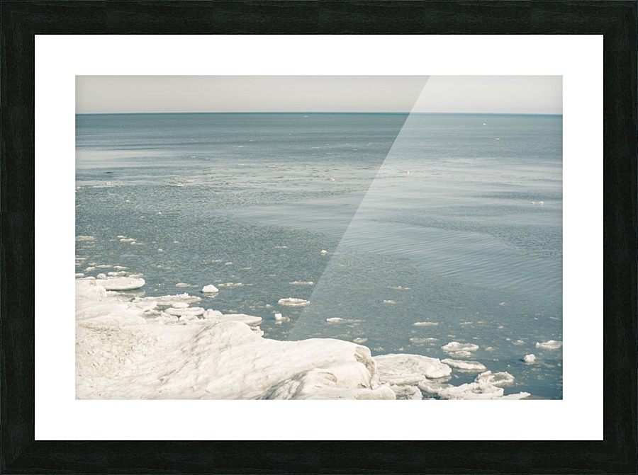 Blue Huron Picture Frame print