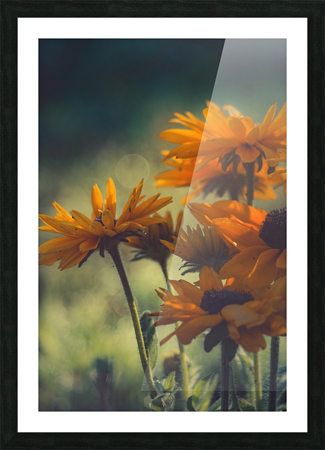 Dont Pass Me By Picture Frame print