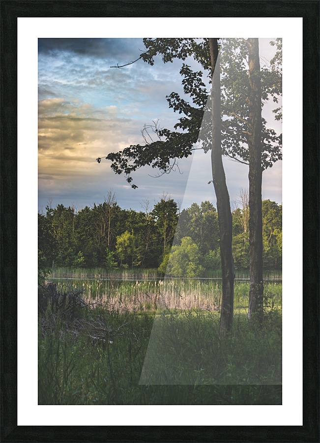 Sometimes Picture Frame print