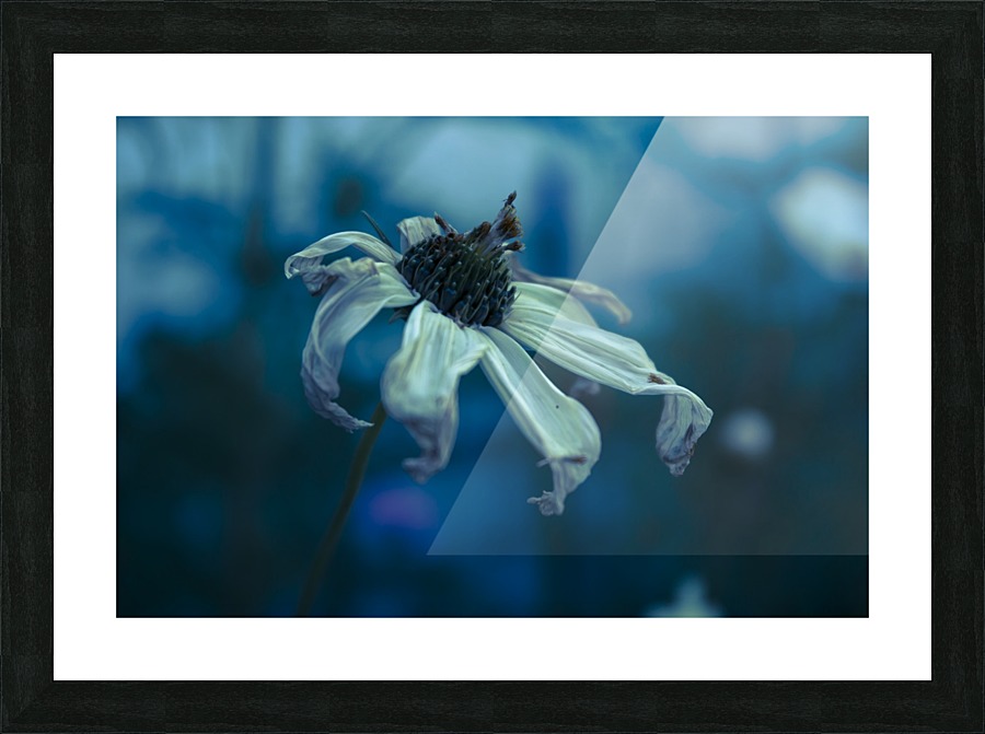 Hold Onto Me Picture Frame print