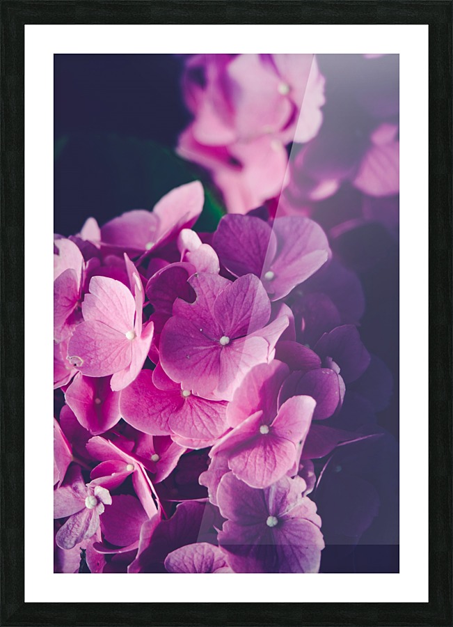 If You Ever Picture Frame print