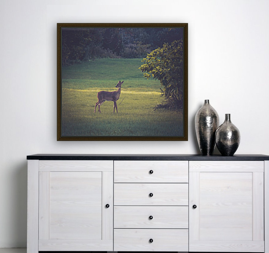 Wary Wanderer Reproduction