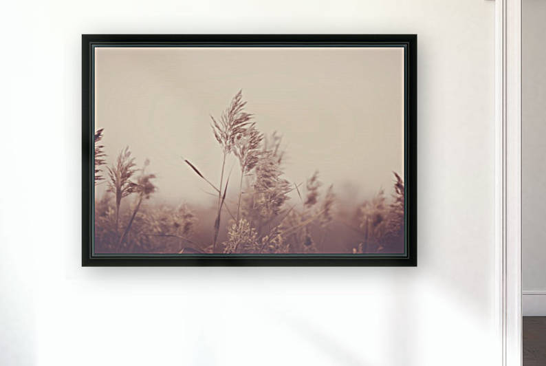 Faded Moments Reproduction