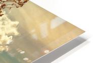 When You Start To Fall HD Metal print