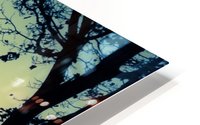 Someday Soon HD Metal print