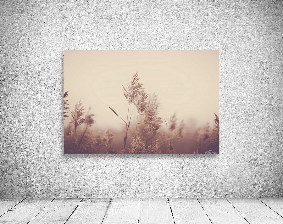 Faded Moments Wall Preview