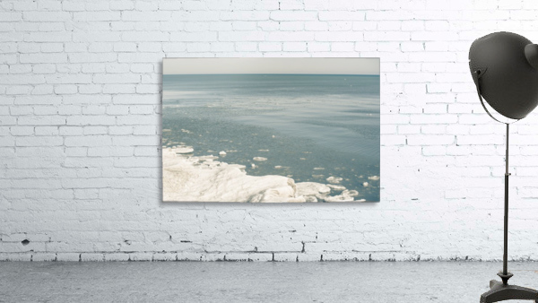 Blue Huron Wall Preview