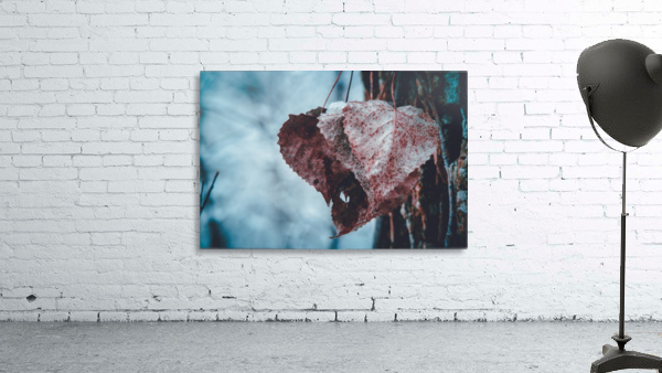 Cold Hearts  Wall Preview