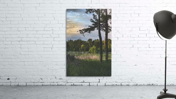 Sometimes Wall Preview