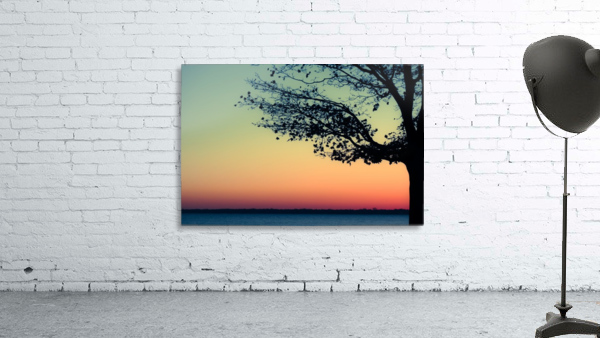 Someday Soon Wall Preview