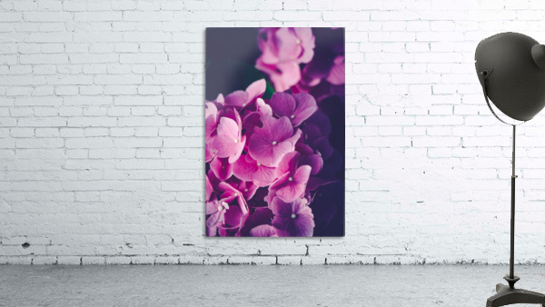 If You Ever Wall Preview