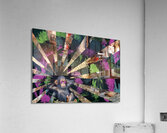 monkey Acrylic Print