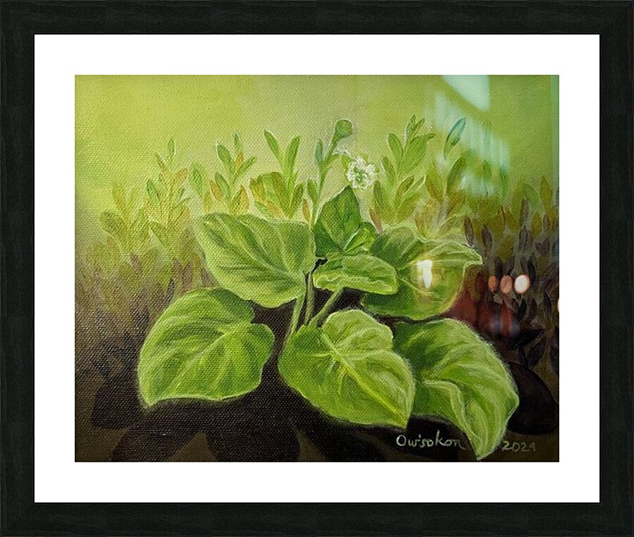 Owisokon Lahache  - Oienkwaon  Ceremonial Tobacco   Acrylic  8.5x11 Picture Frame Printing