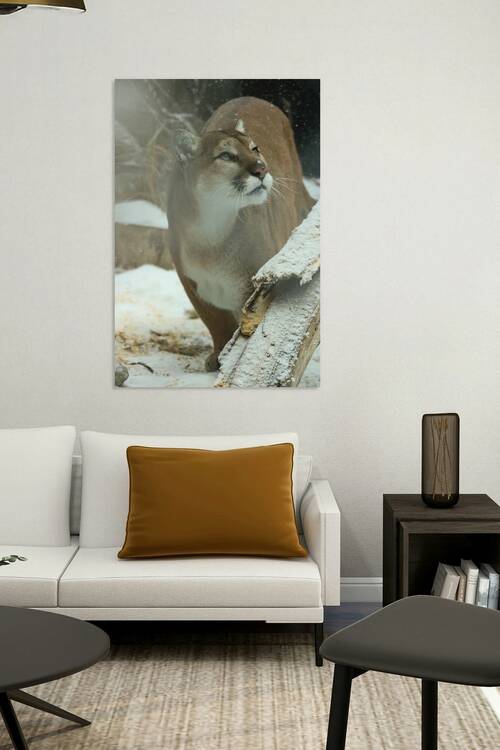 Meagan Stewart  - Focus  Photography  20 x 30  300 $ by Global Art League
