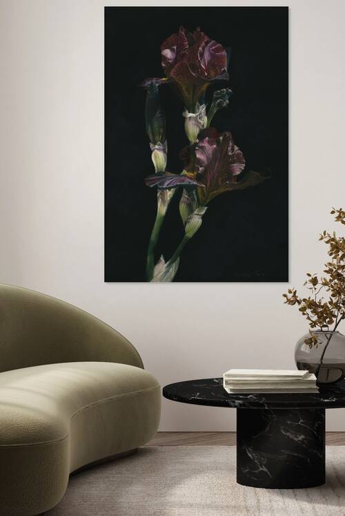 Evgenia Tumik - Burgundy Irises - Pencil - 12 38 by 18 ¼ - 1800$ by Global Art League