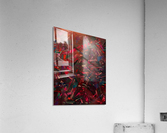 Sloth Metropolis Acrylic Print