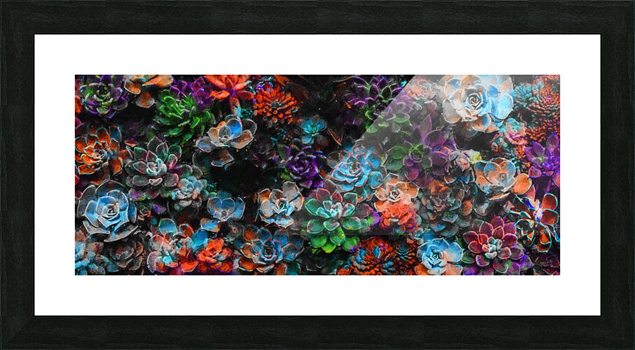 Succulent Explosion Picture Frame Printing