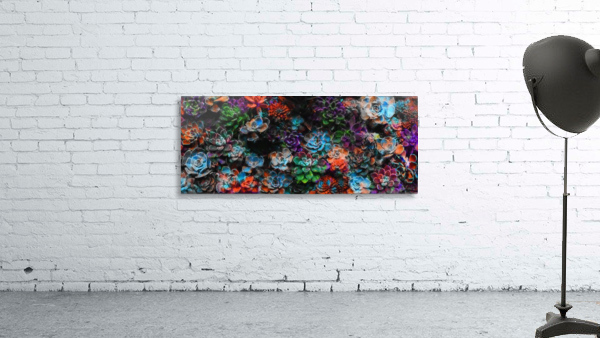 Succulent Explosion Wall Preview