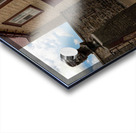 DSC00083 Acrylic print
