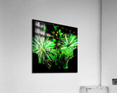 DSC00378 Acrylic Print