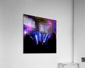 DSC00376 Acrylic Print