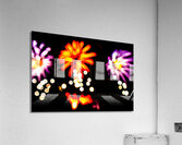 DSC00388 Acrylic Print