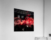 DSC00348 Acrylic Print