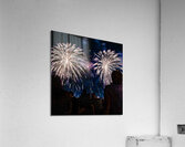 DSC00379 Acrylic Print