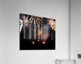 DSC00364 Acrylic Print