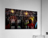 DSC00381 Acrylic Print