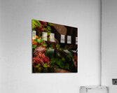 DSC00396 Acrylic Print