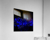 DSC00351 Acrylic Print