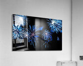 DSC00375 Acrylic Print