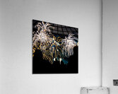 DSC00380 Acrylic Print