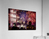 DSC00386 Acrylic Print