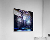 DSC00539 Acrylic Print