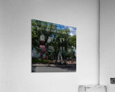 DSC00061 Acrylic Print