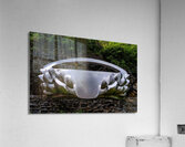 DSC00109 Acrylic Print