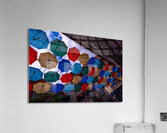 DSC00133 Acrylic Print