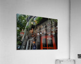 DSC00105 Acrylic Print