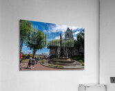 DSC00050 Acrylic Print