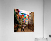 DSC00132 Acrylic Print