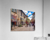 DSC00093 Acrylic Print