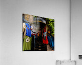 DSC00117 Acrylic Print