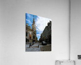 DSC00036 Acrylic Print